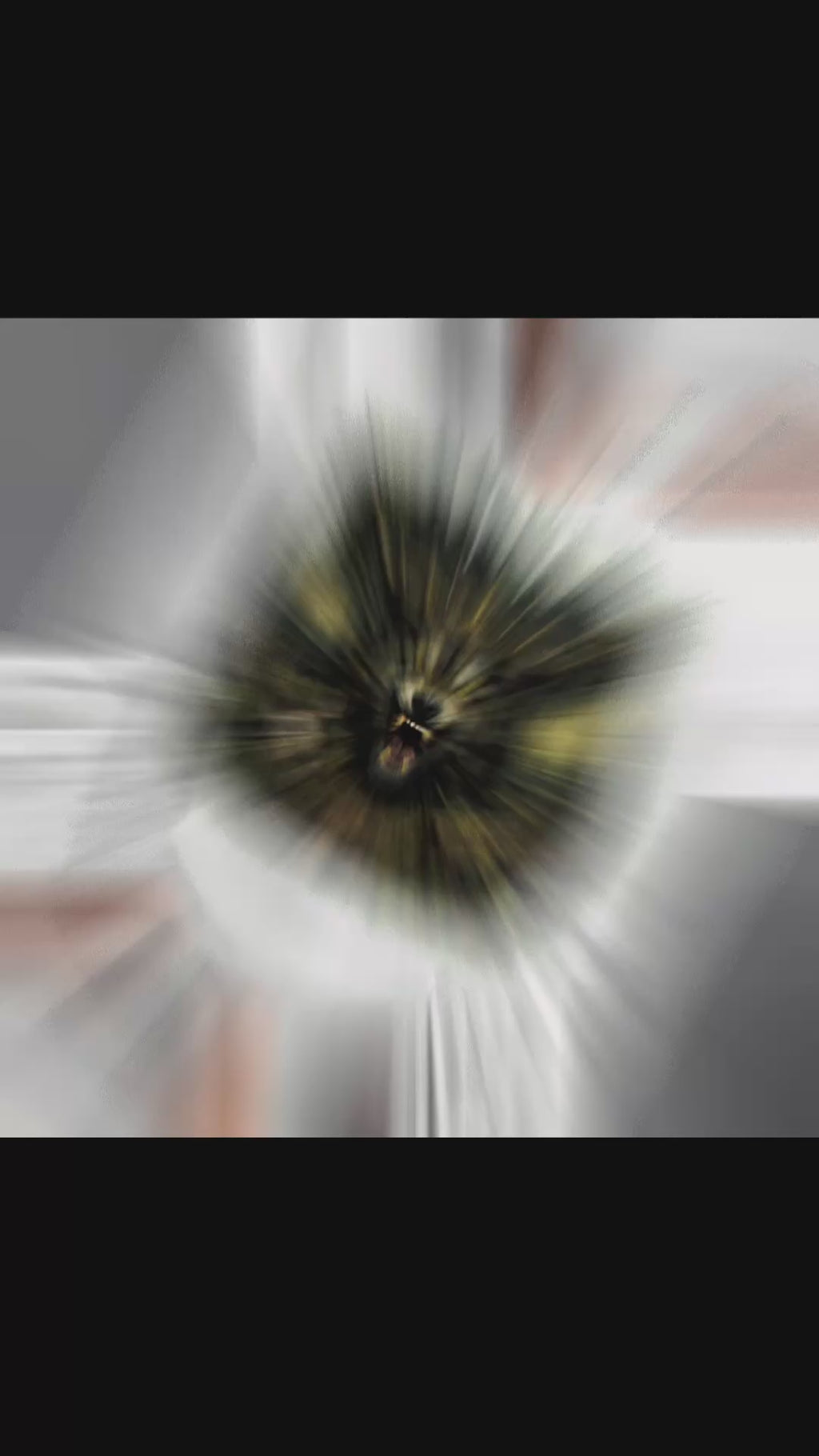 DROP KING OF THE FOREST